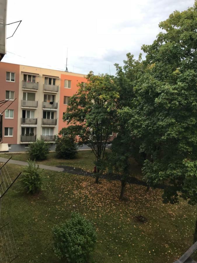 Apartment Kubo Vranov nad Toplou Exteriör bild